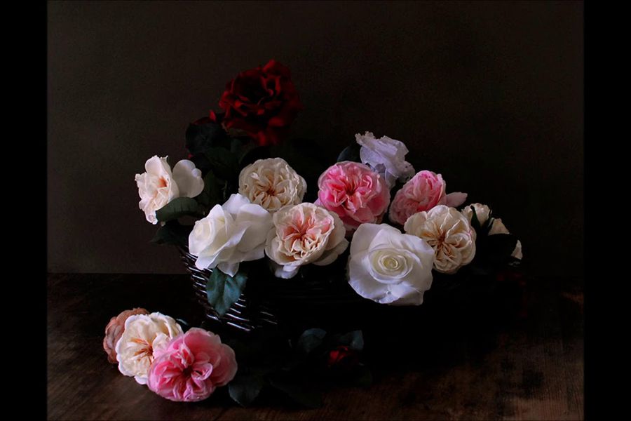 New Order reedita Power, Corruption & Lies